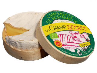 Camembert
