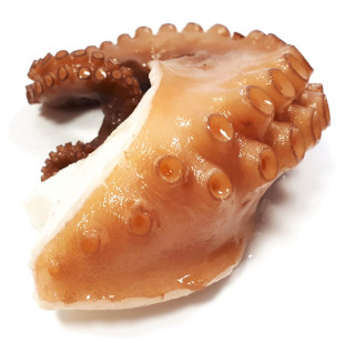 Pulpo