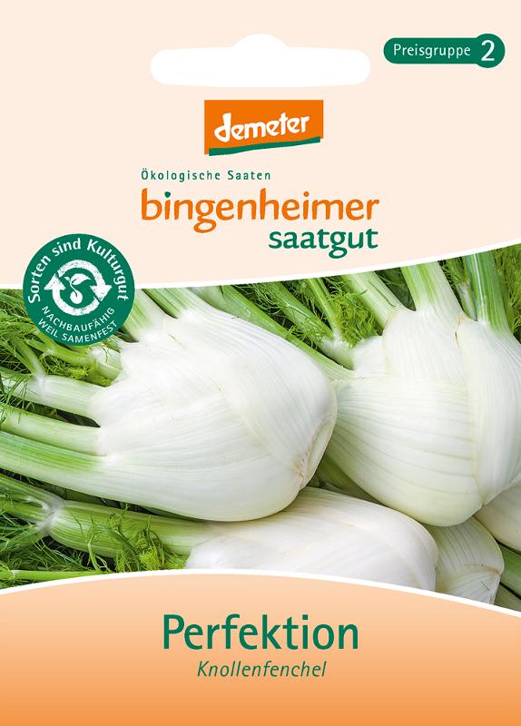 Knollenfenchel