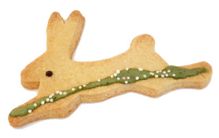 Hase