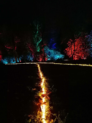 Waldweihnacht