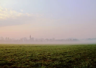 sanfter Nebel über Brodowin